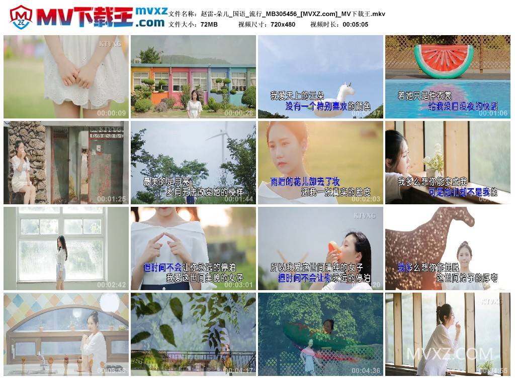 赵雷-朵儿_国语_流行_MB305456